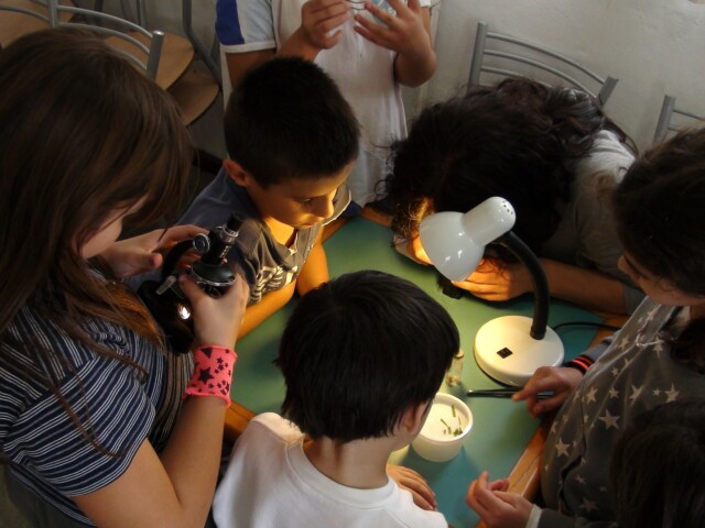 HO UN BAMBINO IPERATTIVO IN CLASSE… ORA CHE FACCIO?