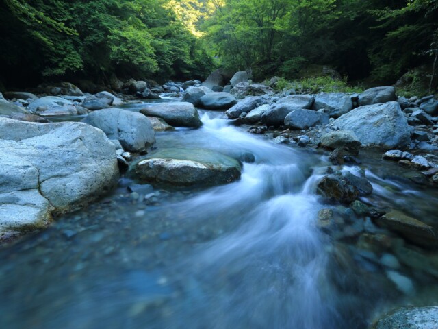 AVVENTURA SULL’ADDA